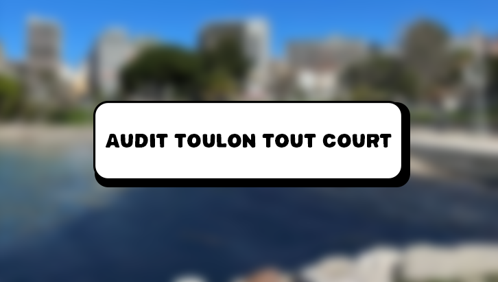 Miniature de Audit de la communication du festival Toulon Tout Court